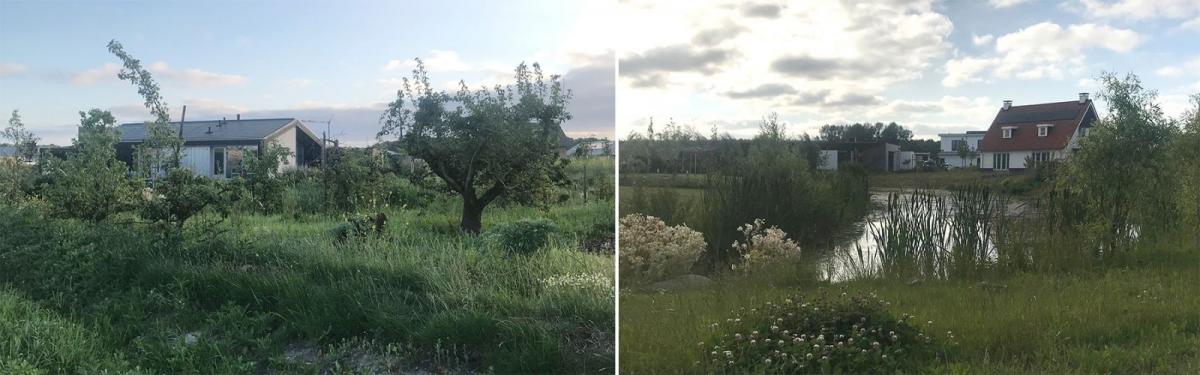 丨NetherlandsAlmere-6