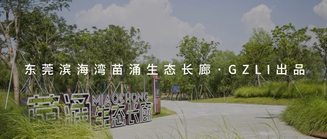 东莞滨海湾文体公园丨萨尔瓦多滨海丨广州园林建筑规划设计研究总院有限公司-73