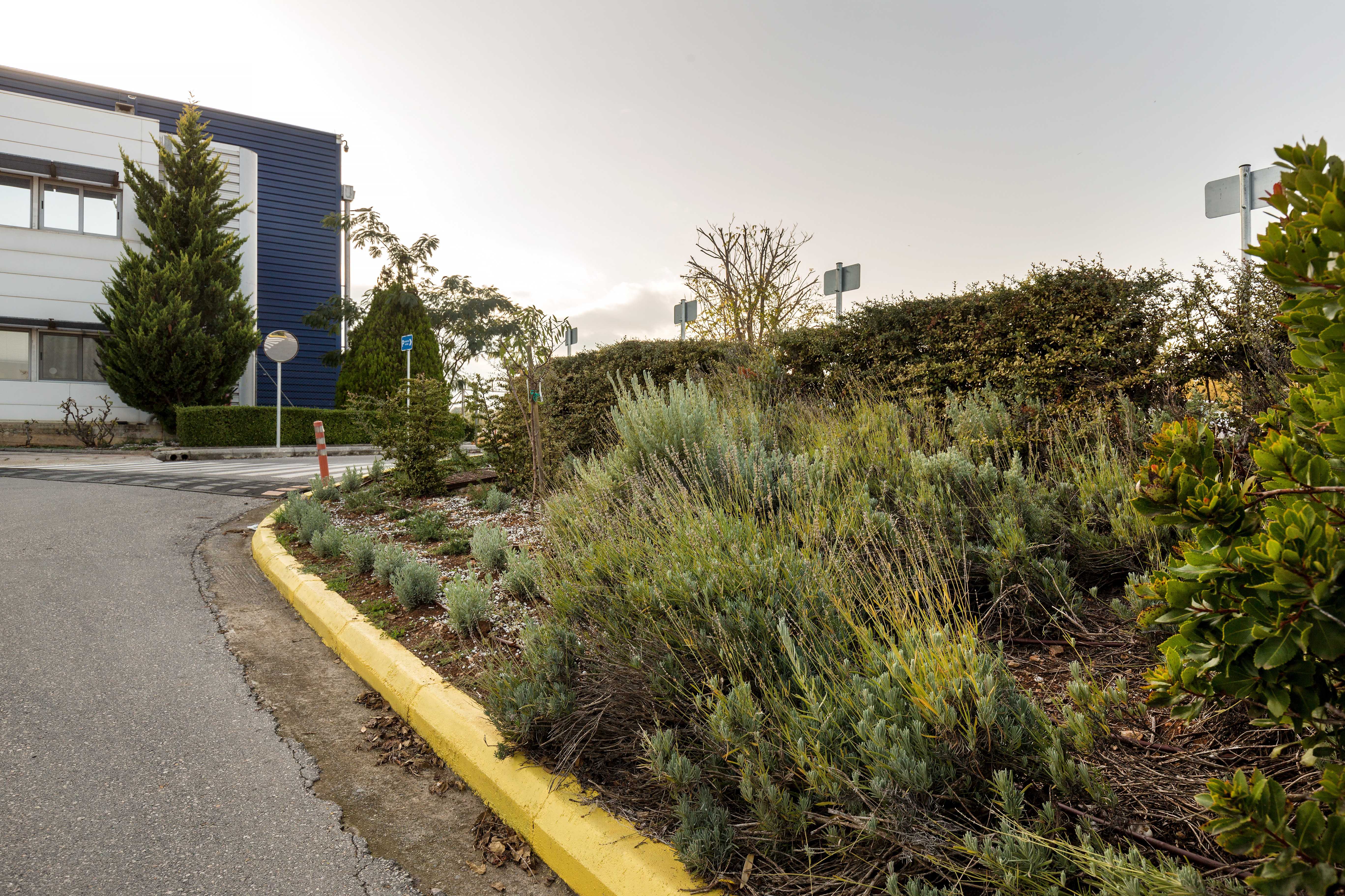 loreal hellas logistics outdoor areas-10