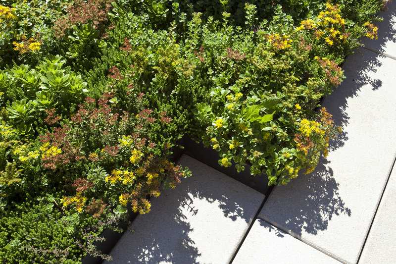 工业风 Abington House丨美国纽约丨不详-9