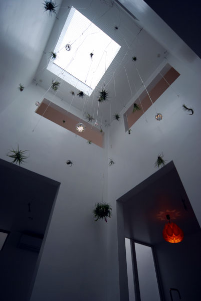 nanou #051  COGITE住宅丨日本千叶丨有限会社COGITE-17