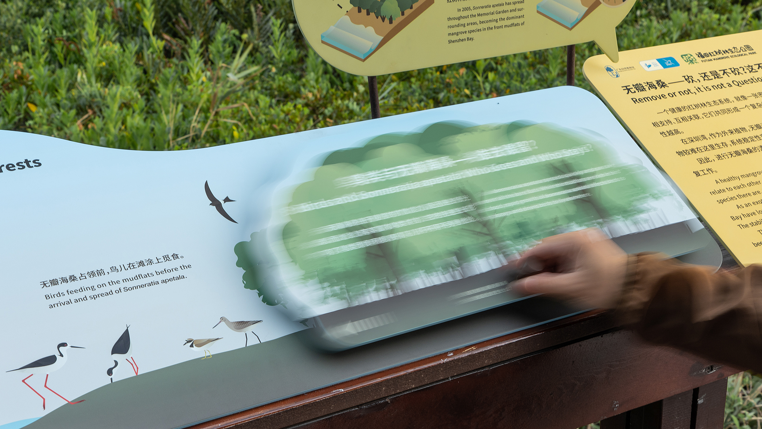深圳红树林生态公园户外科普互动导视设计丨中国深圳丨共生领域(北京)文化传媒有限公司-37