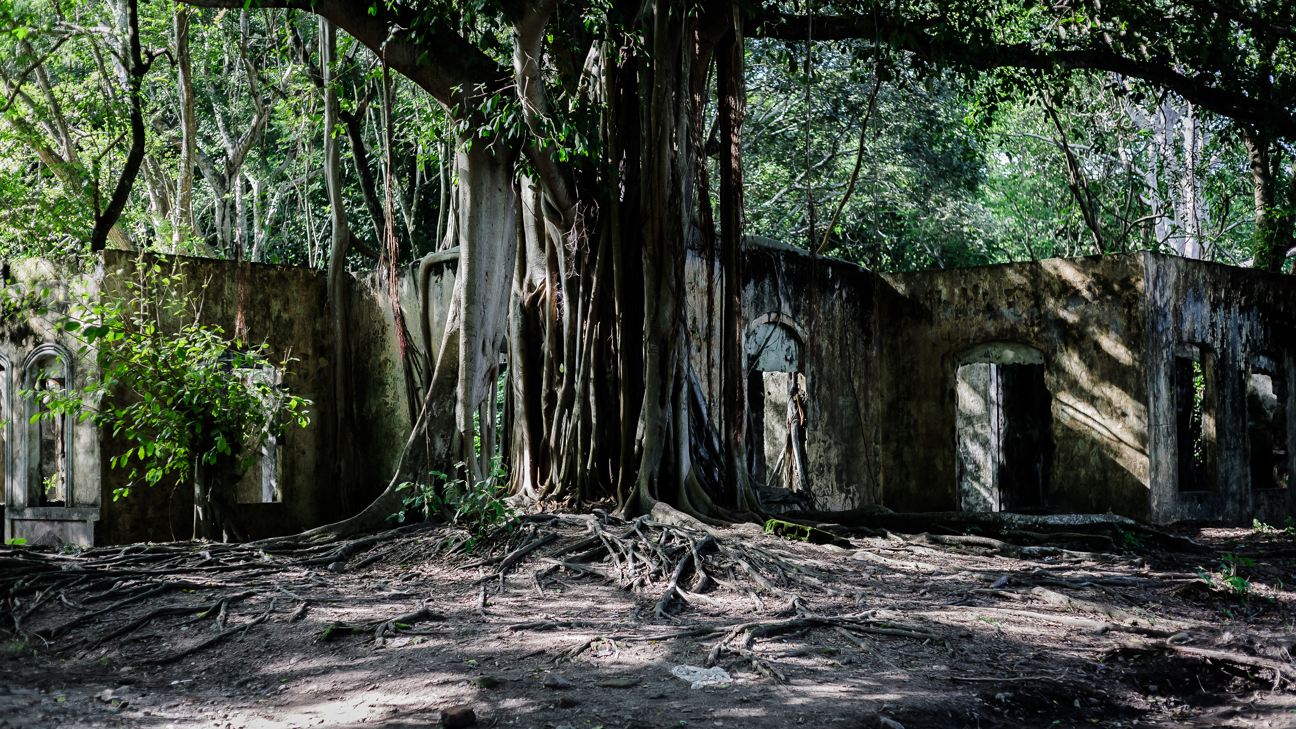 LA BELLEZA CONTRA LA INFAMIA-10