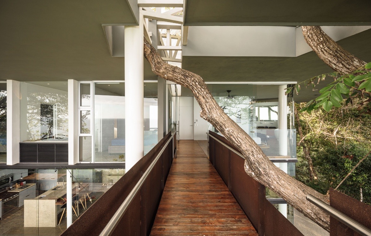 Къща Кокоболо（科科博罗别墅）丨Canas Architects-17