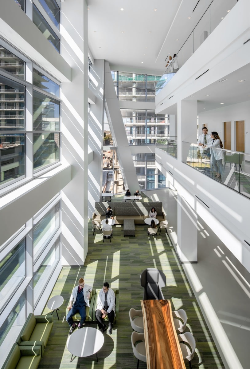 佛罗里达医学院心脏研究所丨美国丨HOK-14