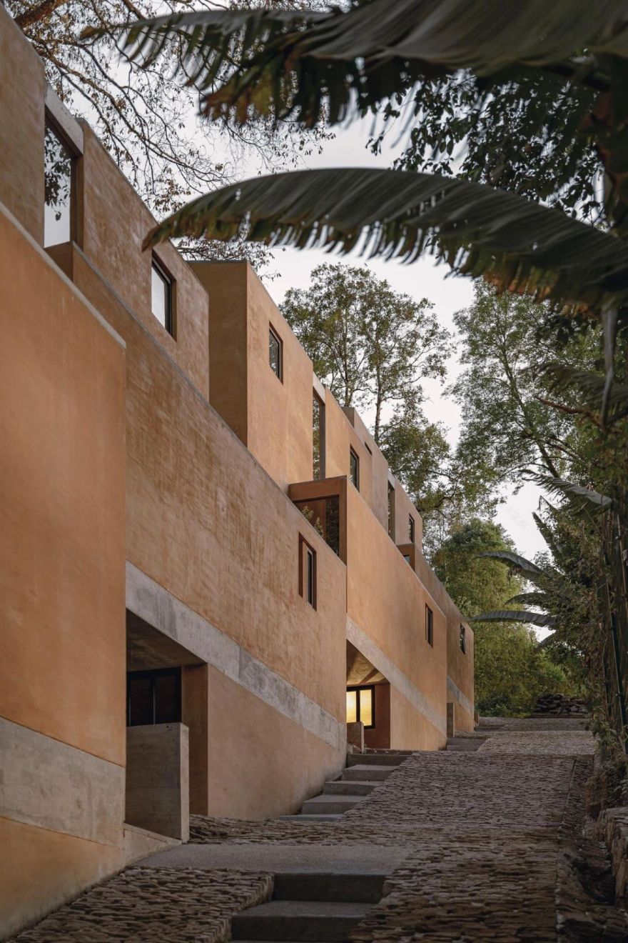 蕨类植物丨墨西哥丨Taller Hector Barroso-6