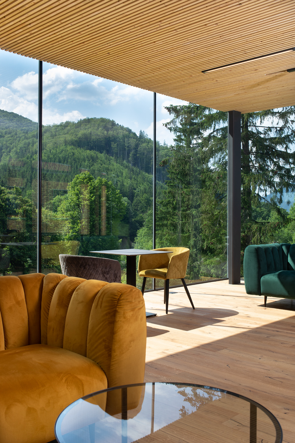 Hotel & Garden U Holubů扩建项目丨Kamil Mrva Architects-23