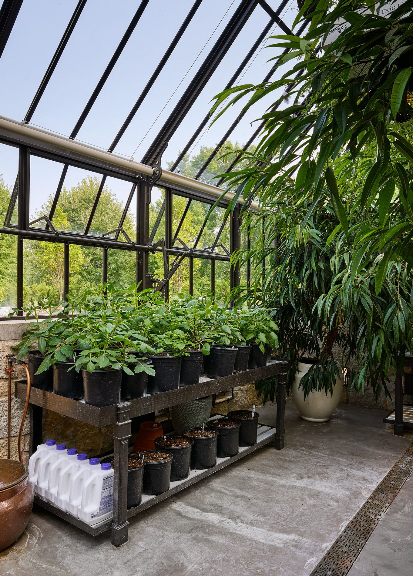 WADE WEISSMANN ARCHITECTURE | MADISON GREENHOUSE ADDITION-18