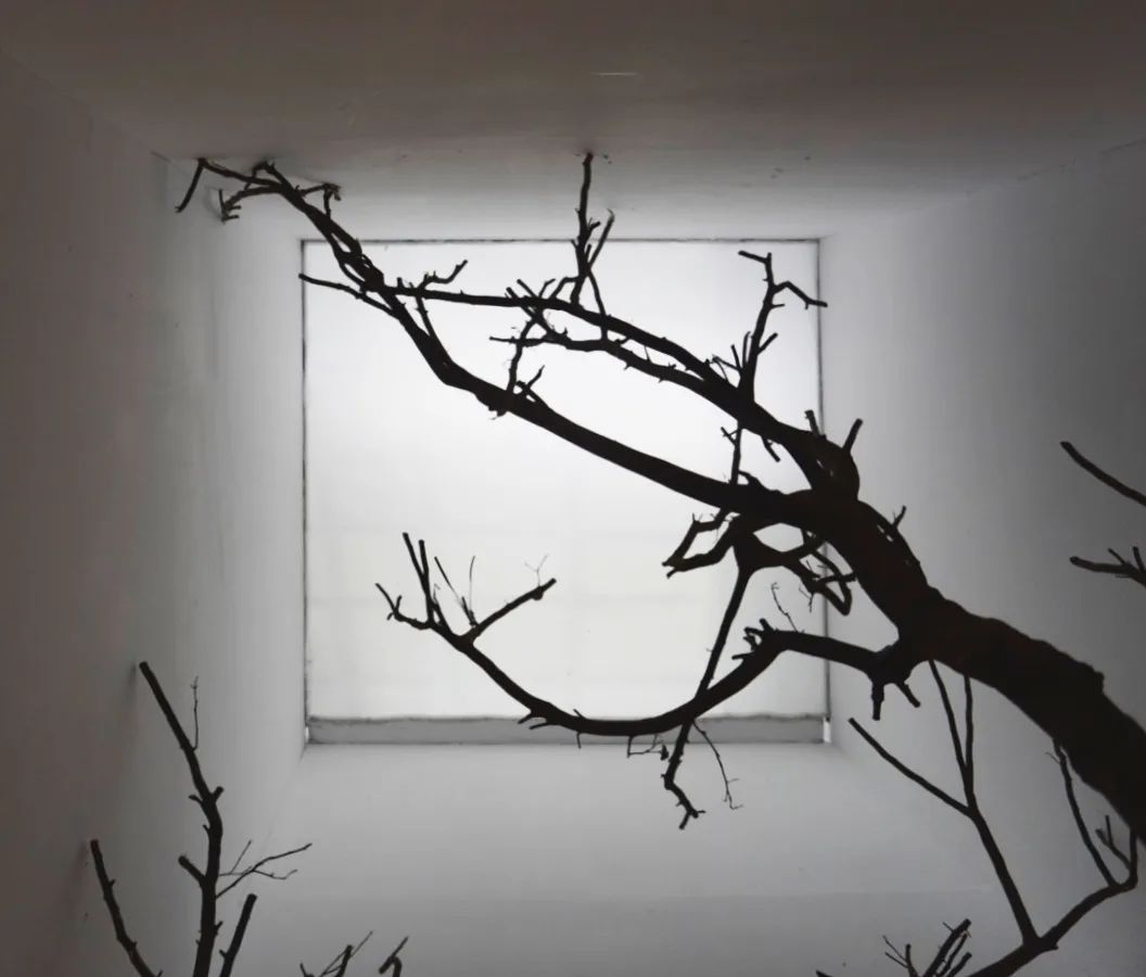 自然光影中的精致空间设计-36