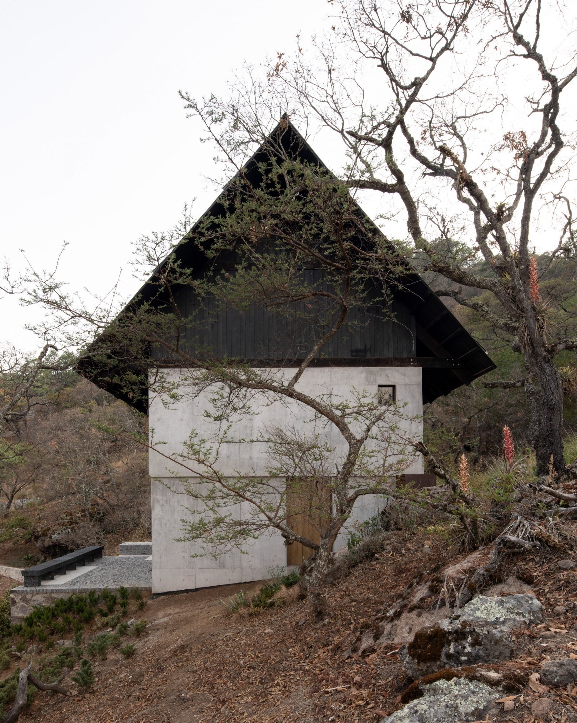 El Mirador 混凝土小屋丨墨西哥瓜达拉哈拉丨Elías Rizo Arquitectos-3