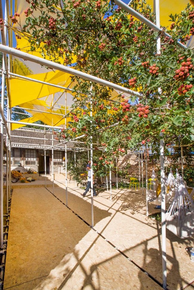 一星期 一万元 零废弃 | 脚手架建起的乡村艺廊-55