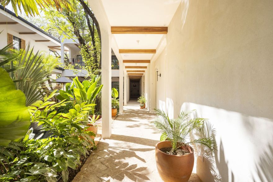 Sendero 酒店丨哥斯达黎加丨LOOP 设计工作室-27