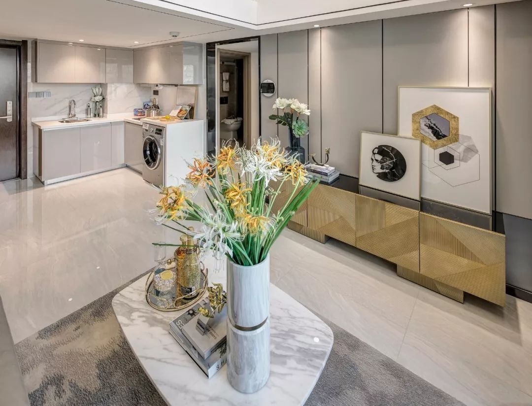 珠海龙湖·天鉅——城市精英的理想人居-13