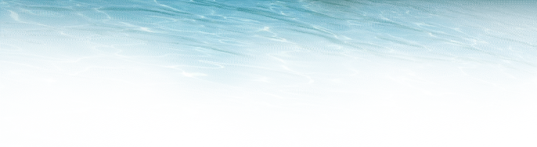 兴联路大桥正式通车友谊国际监理护航品质丰碑-1