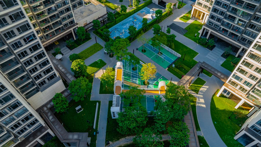 散步送娃，顺路叹茶-13