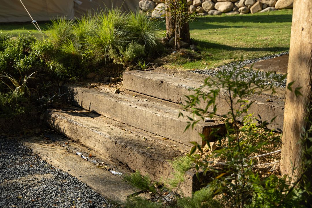 数一轮晨夕 折一朵明媚 | 安吉小杭坑营地-63