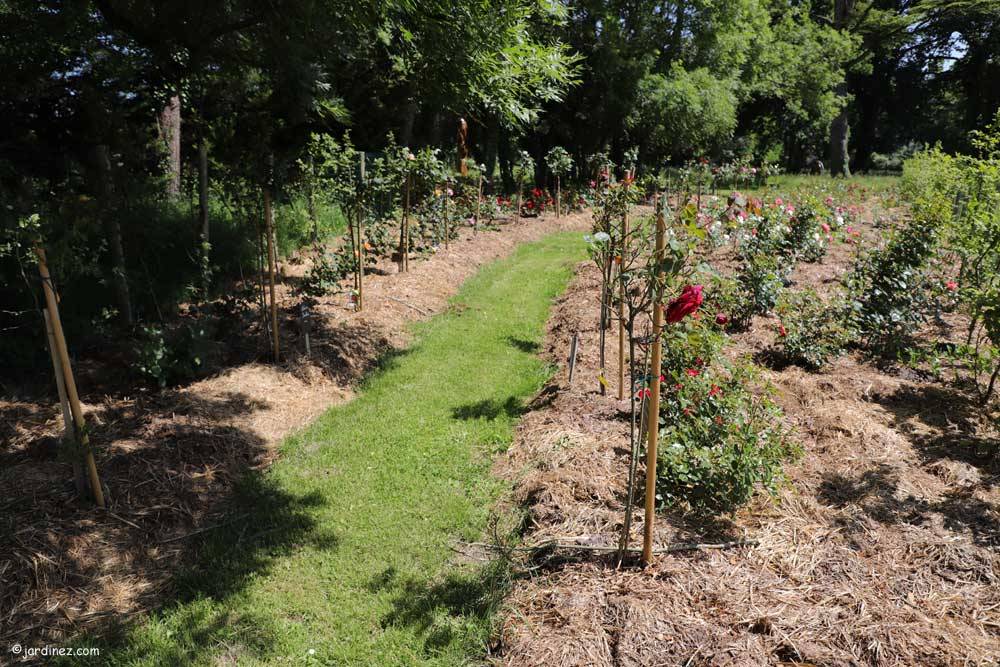 爱都（Ar Duen）菜园丨法国-10