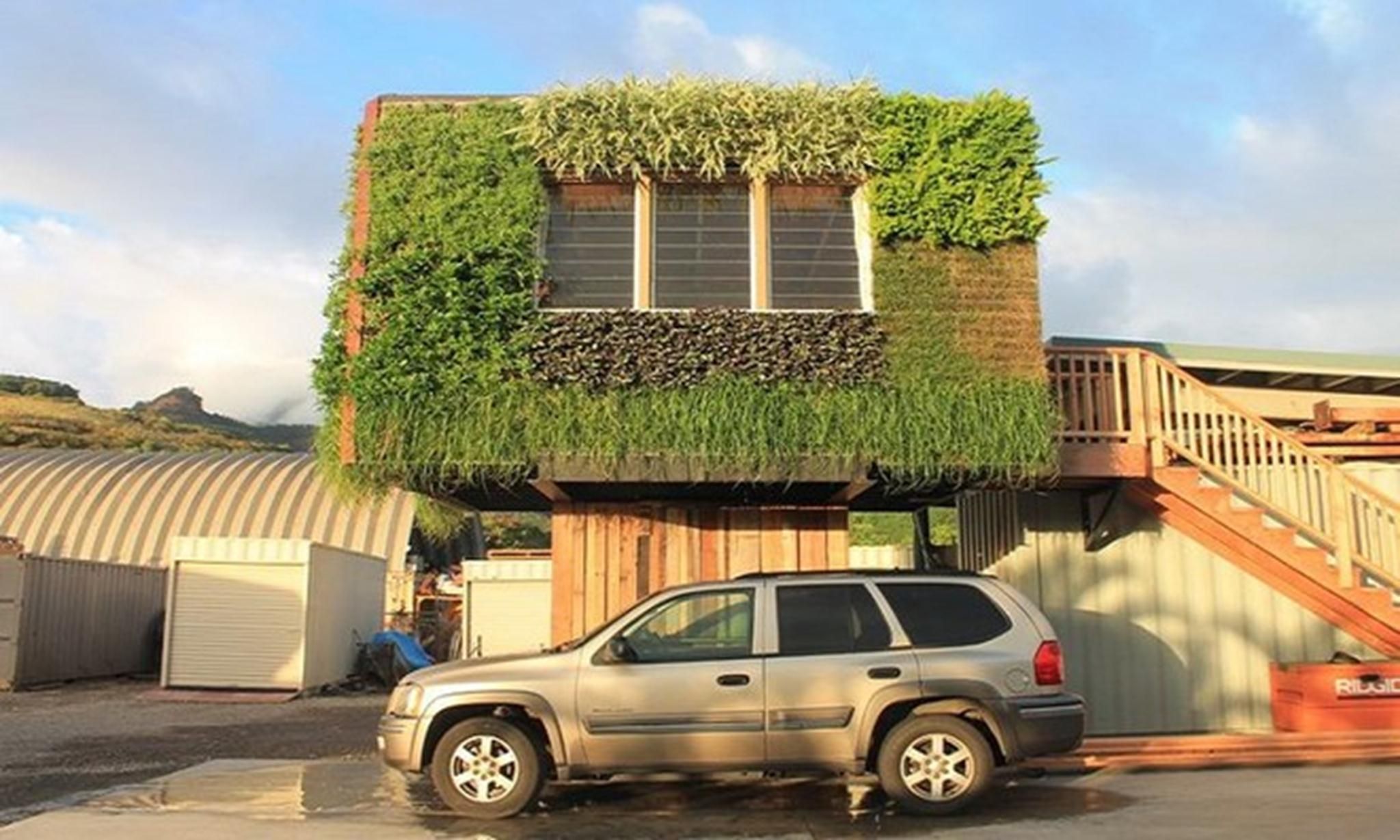 夏威夷创意“树屋”设计，绿意盎然-2