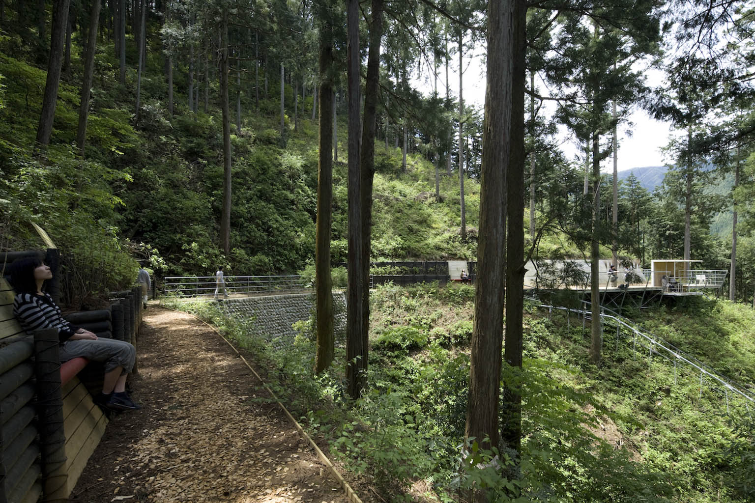 奥多摩森林疗法之路丨日本东京-20