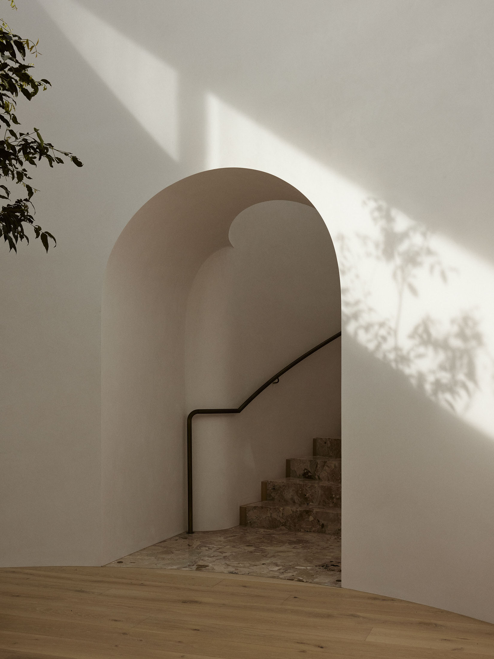 别墅丨澳大利亚悉尼丨Decus,由Alexandra Donohoe Church领导-24