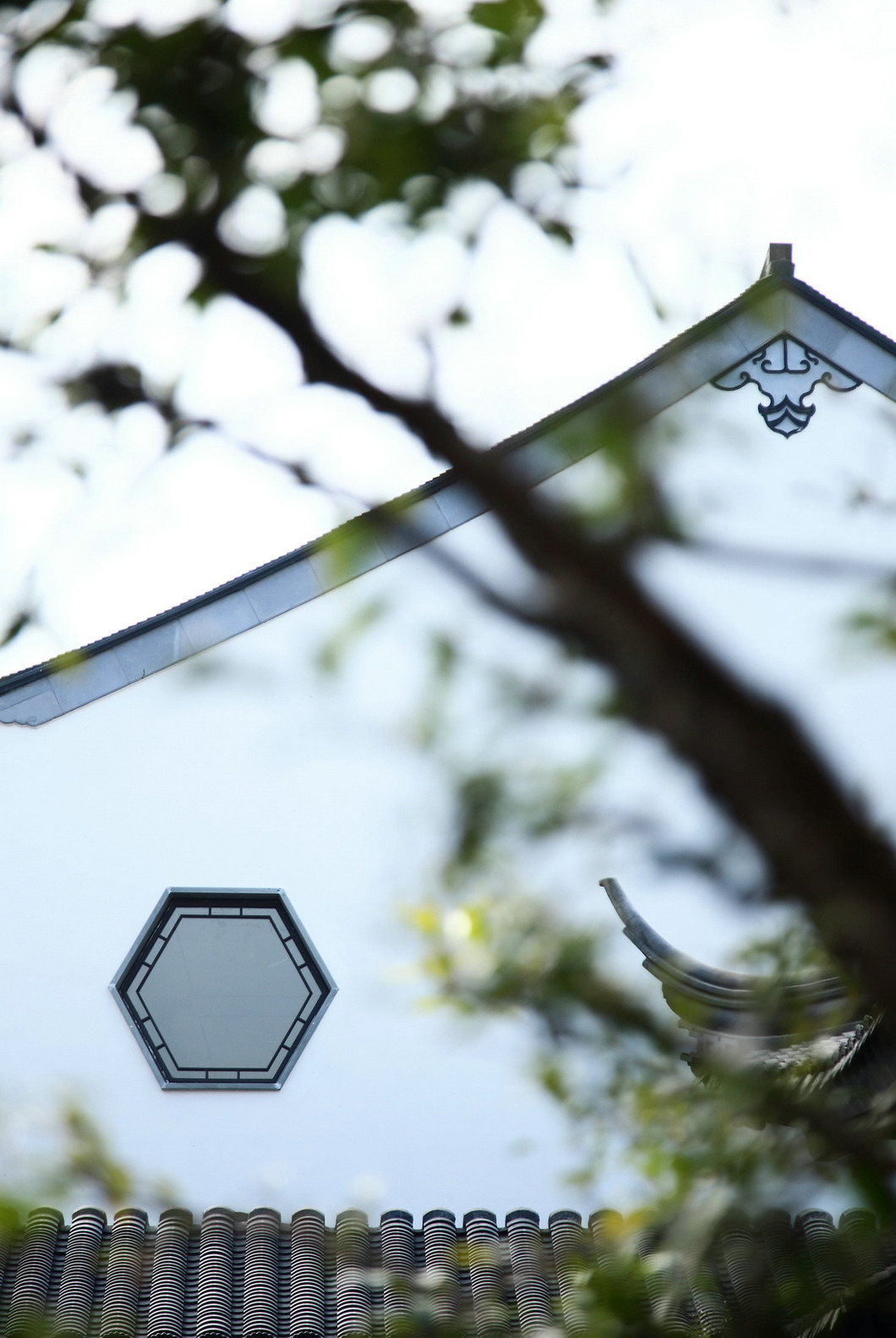 安德湖颐乐学院-18