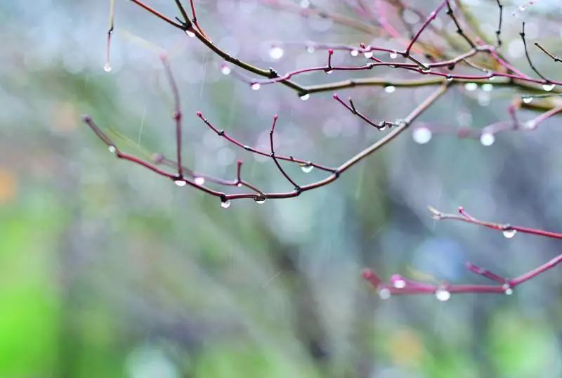 春雨中的紫禁城 | 历史与设计的完美碰撞-19