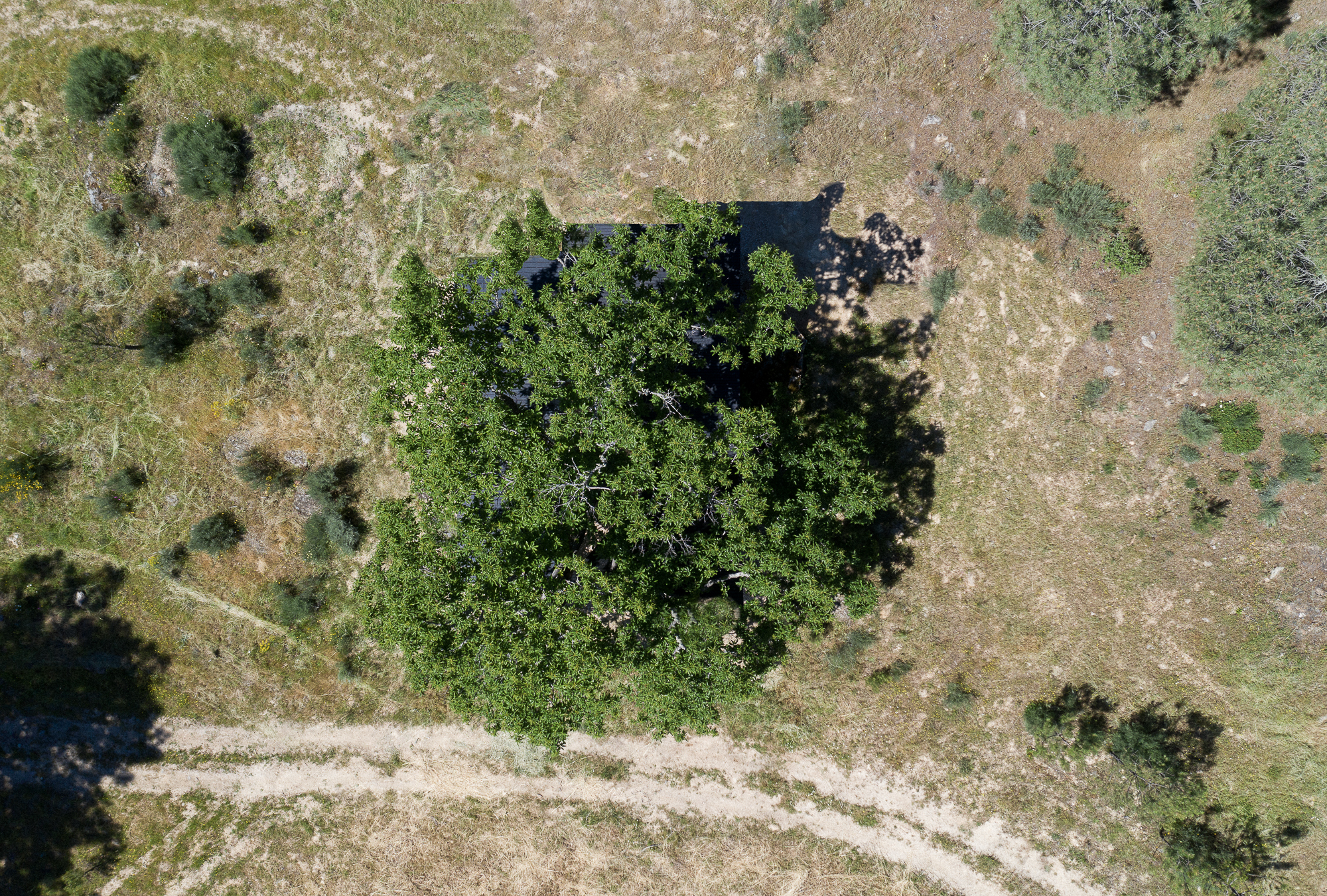 栗树屋丨葡萄牙丨João Mendes Ribeiro-57