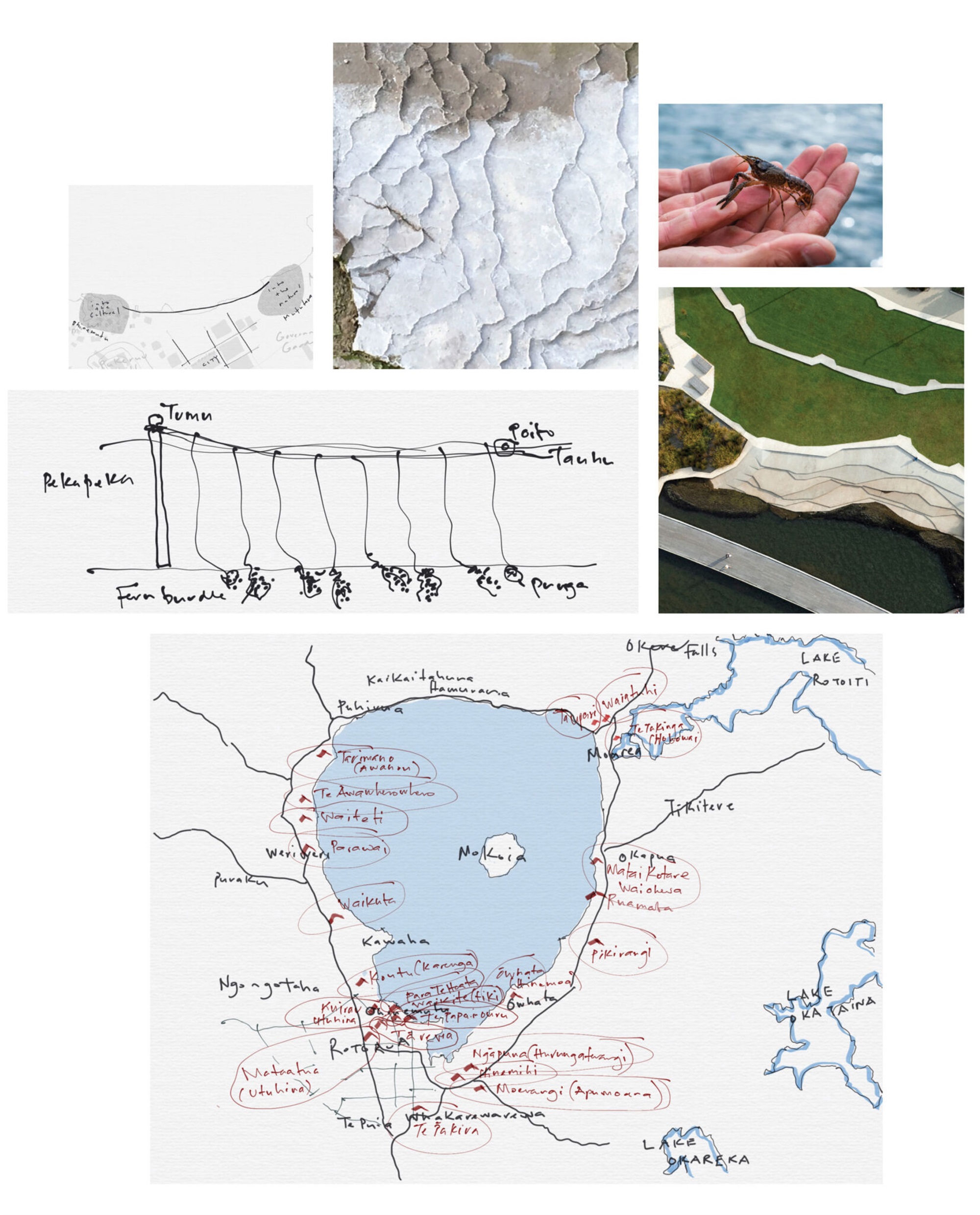 罗托鲁瓦湖畔改造丨新西兰丨Isthmus-18