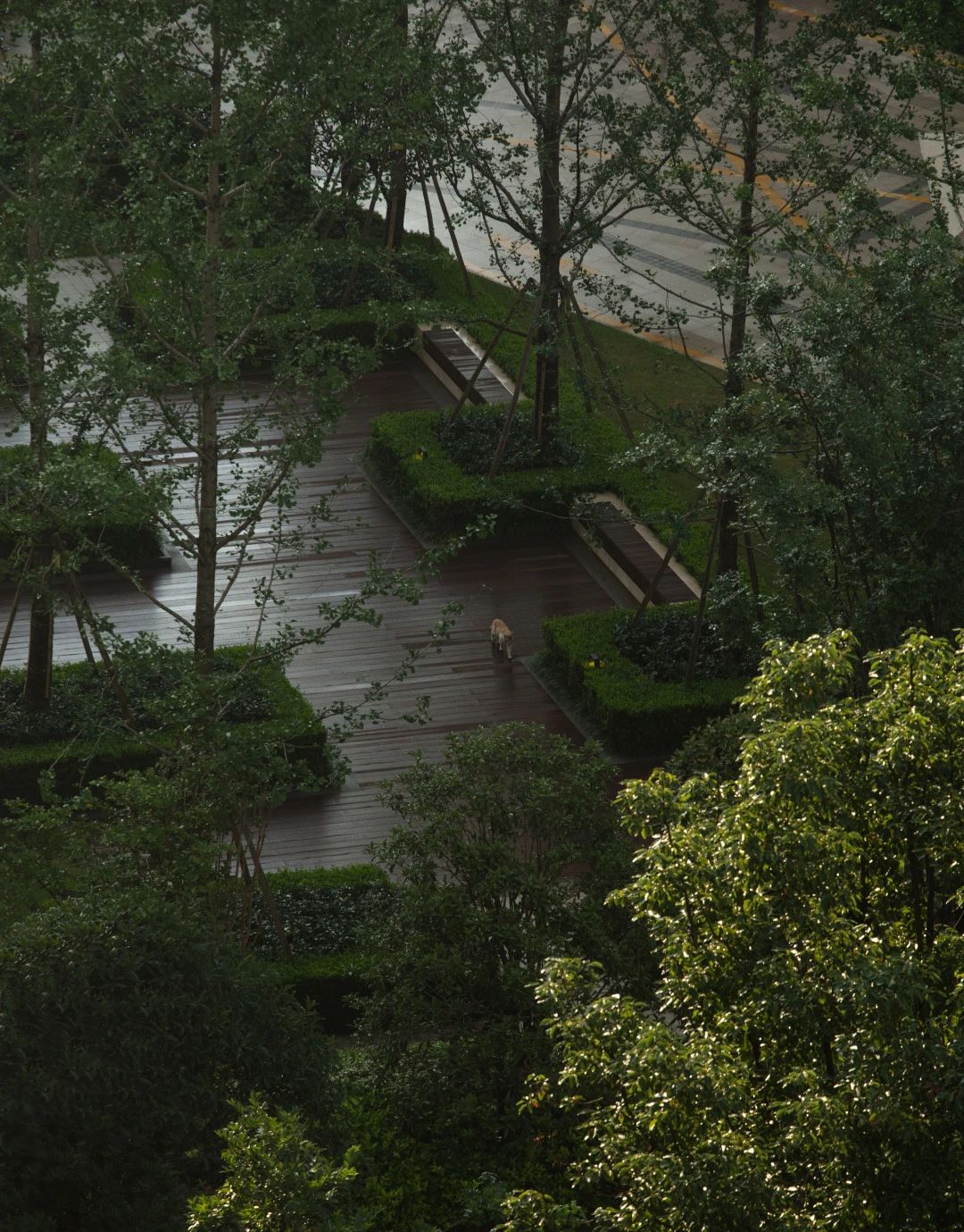  大拙景观丨温州中梁地产滨江壹号 景观设计 丨中国浙江-28