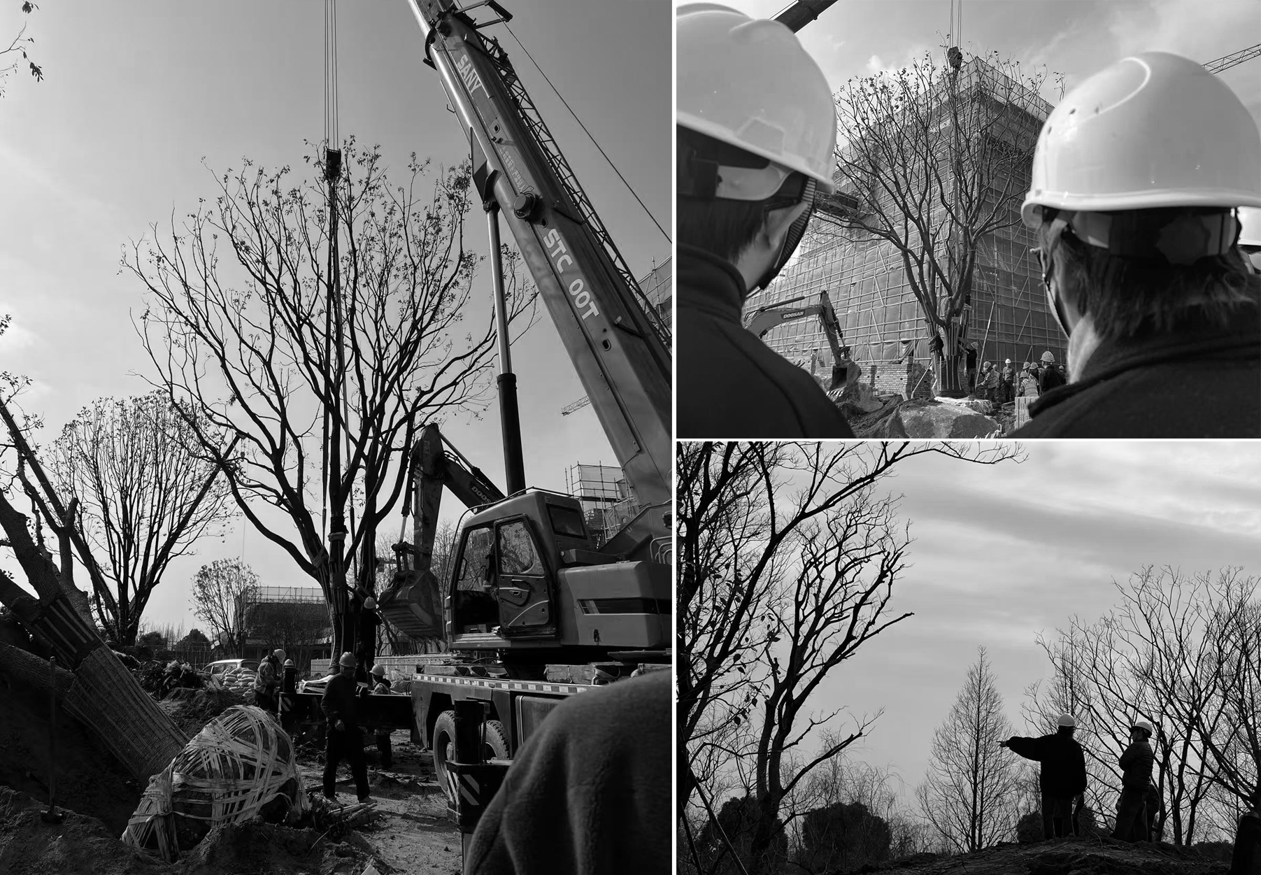 招商蛇口·南通和园丨中国南通丨上海日清景观设计有限公司等多家公司-16