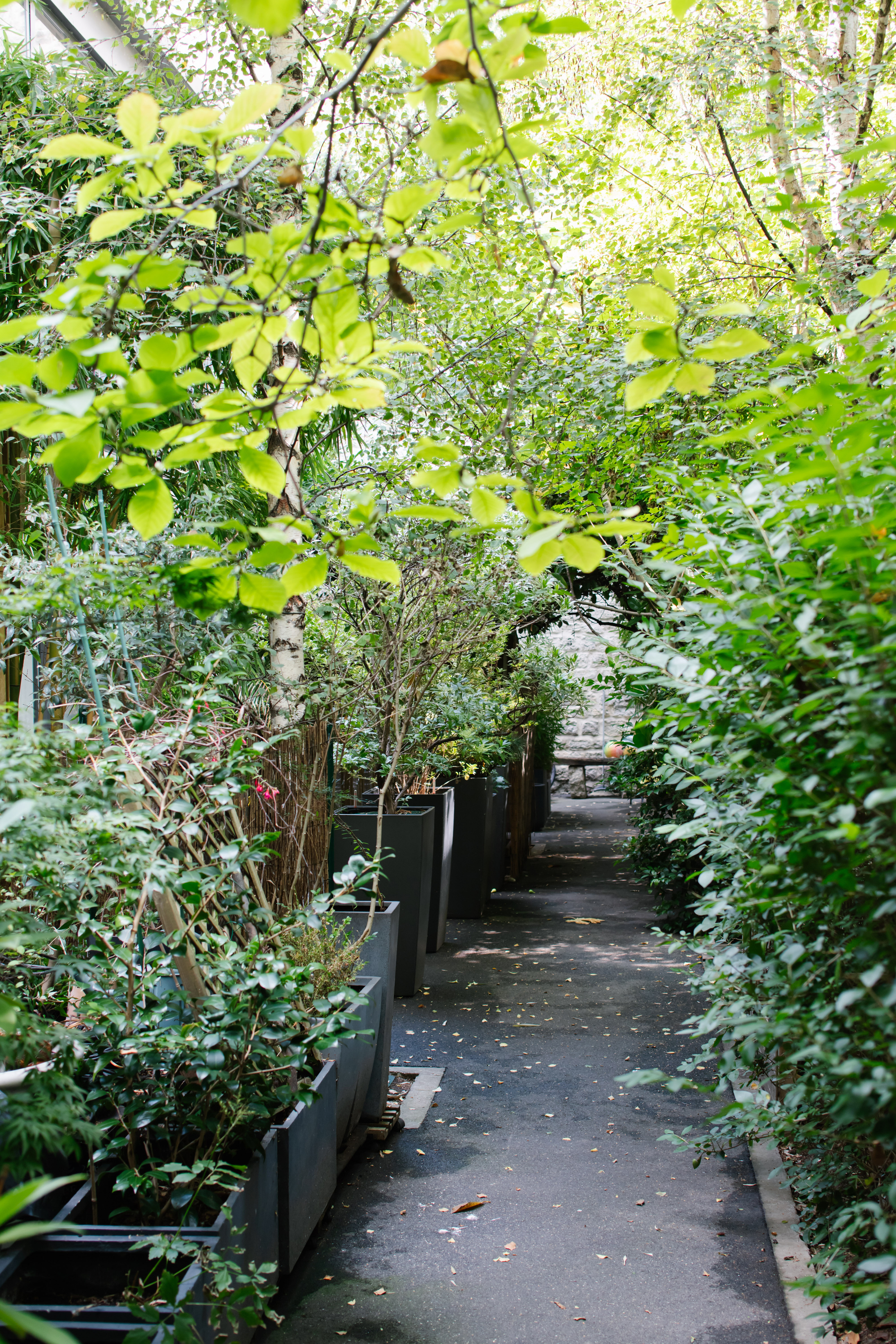 博马舍公寓翻新丨法国丨miogui-25