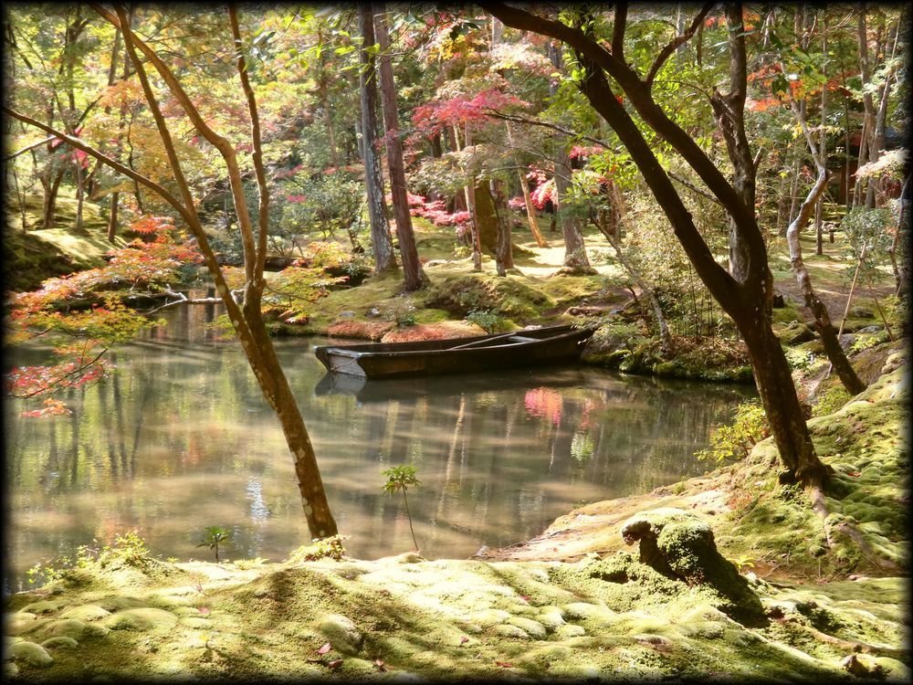 苔寺（西芳寺）的苔庭（黄金池,金刚池）丨日本京都丨梦窗疎石-34