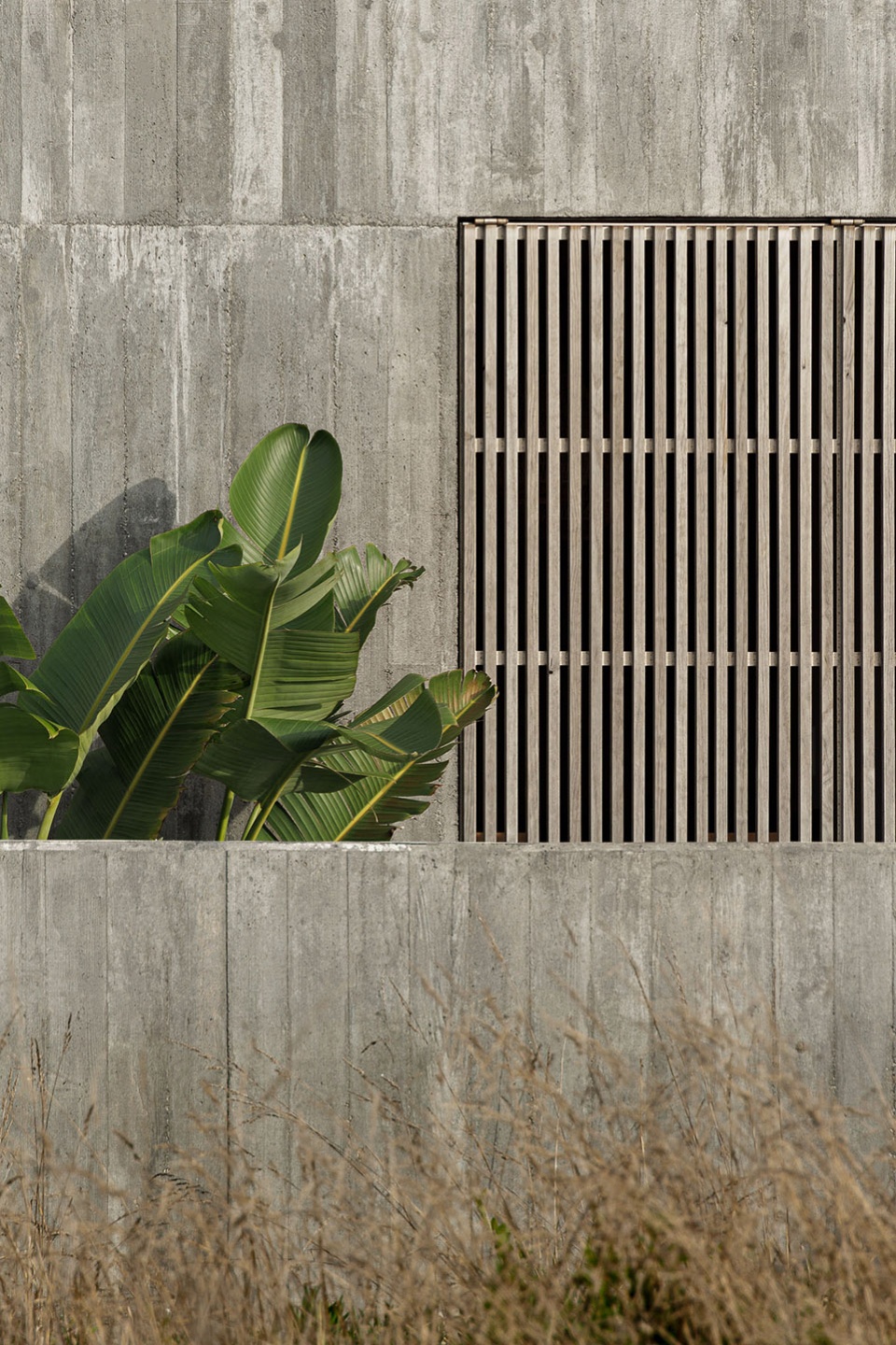 葡萄牙"Palheiro"住宅丨Ivo Tavares Studio-24