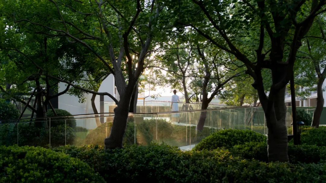 金沙操盘 | 成功经验：从河南火到全国各地（实地考察+主题演讲）-100