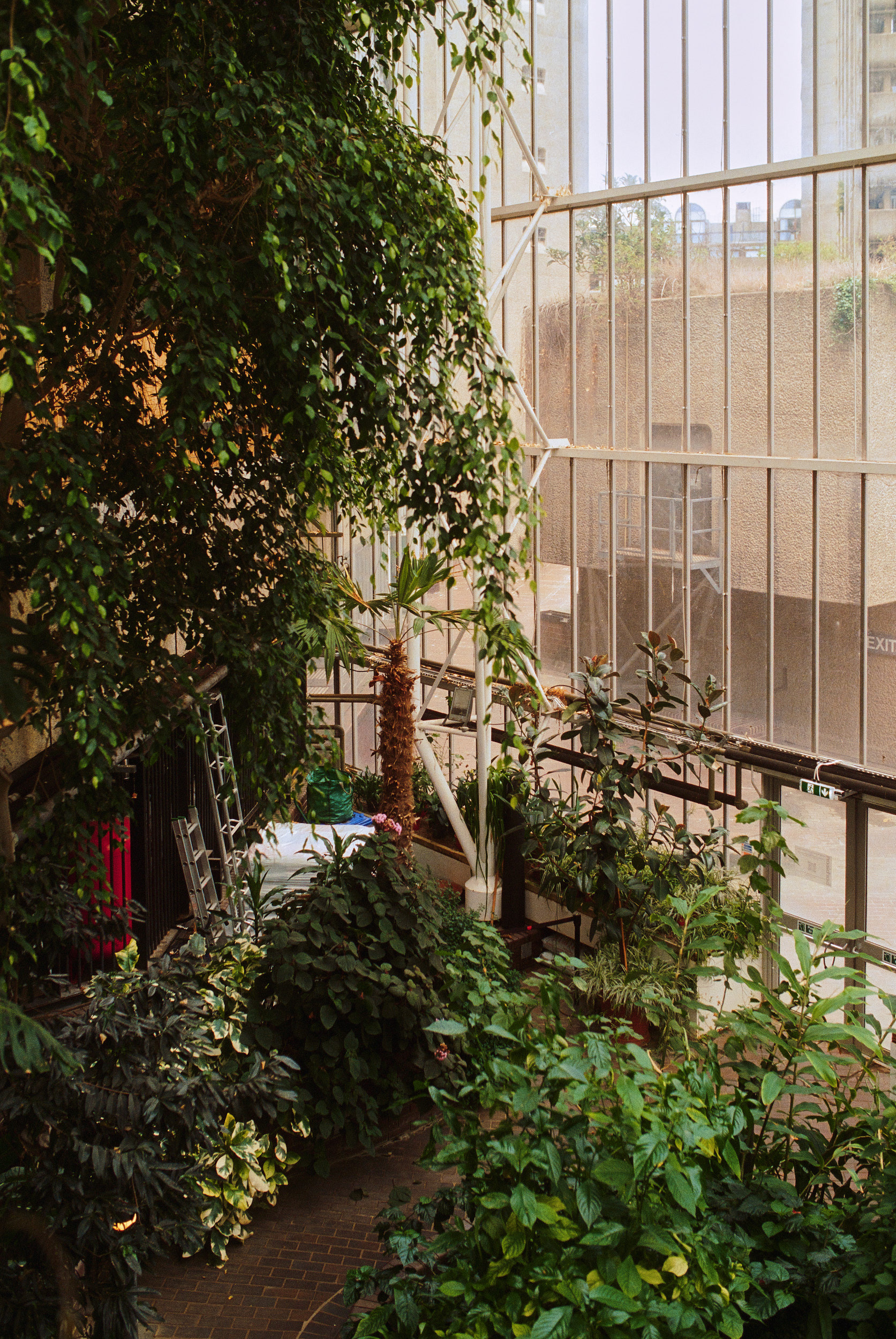 巴比肯温室丨英国伦敦-44