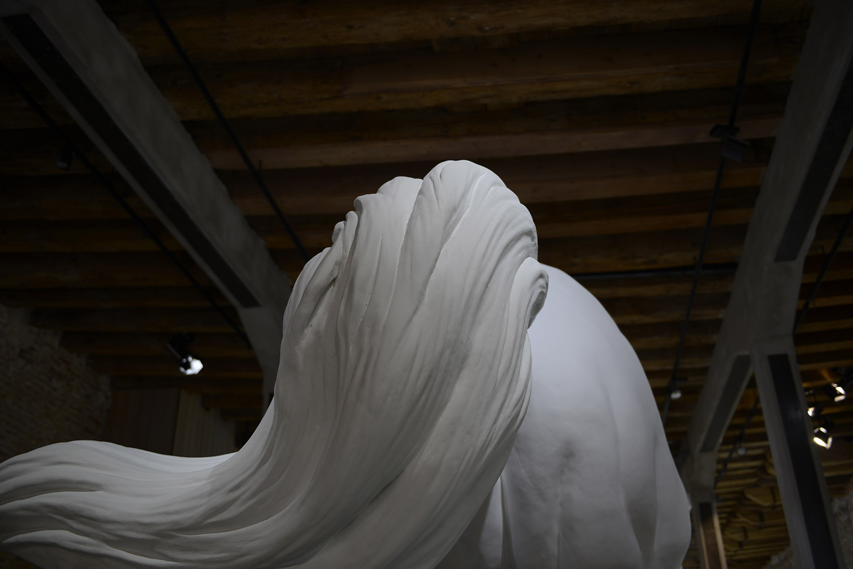 问题之马 / Claudia Fontes-26