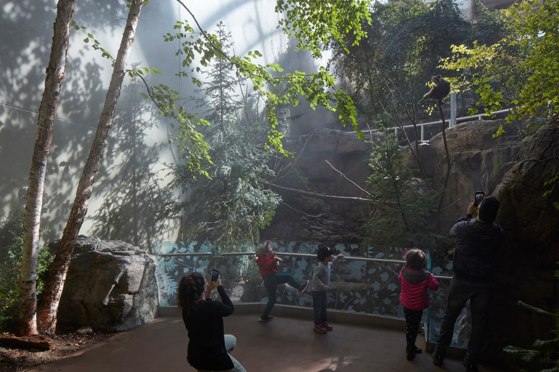 蒙特利尔生物馆改造项目丨加拿大蒙特利尔丨KANVA,与NEUF architect(e)s等合作-88