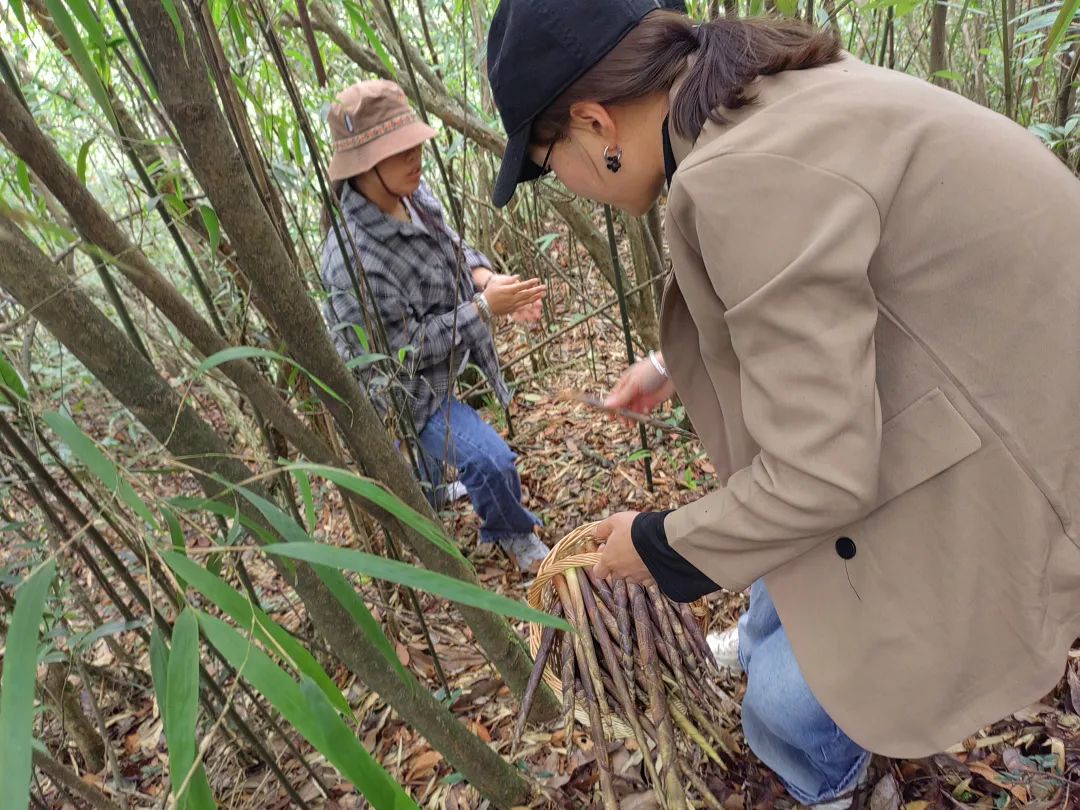 野奢之旅 | 囿于市井，而向山海-88