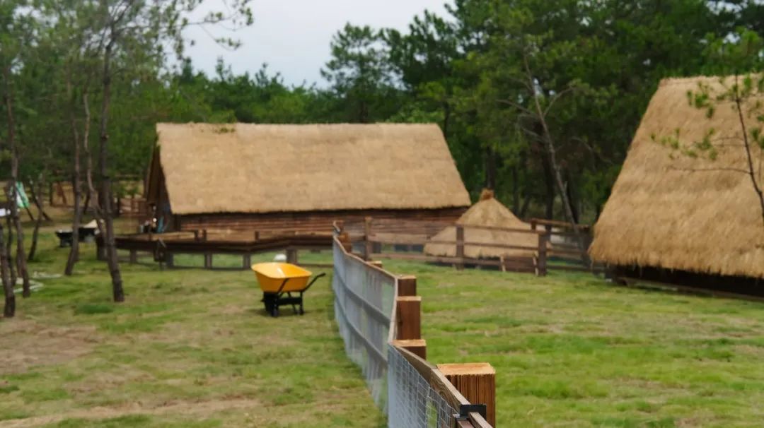 江西·云天麓谷牧场与茶室丨中国吉安丨平介设计&则问设计-5