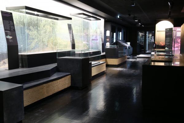 奥尔良生物多样性与环境博物馆生土展示台项目丨法国奥尔良-48