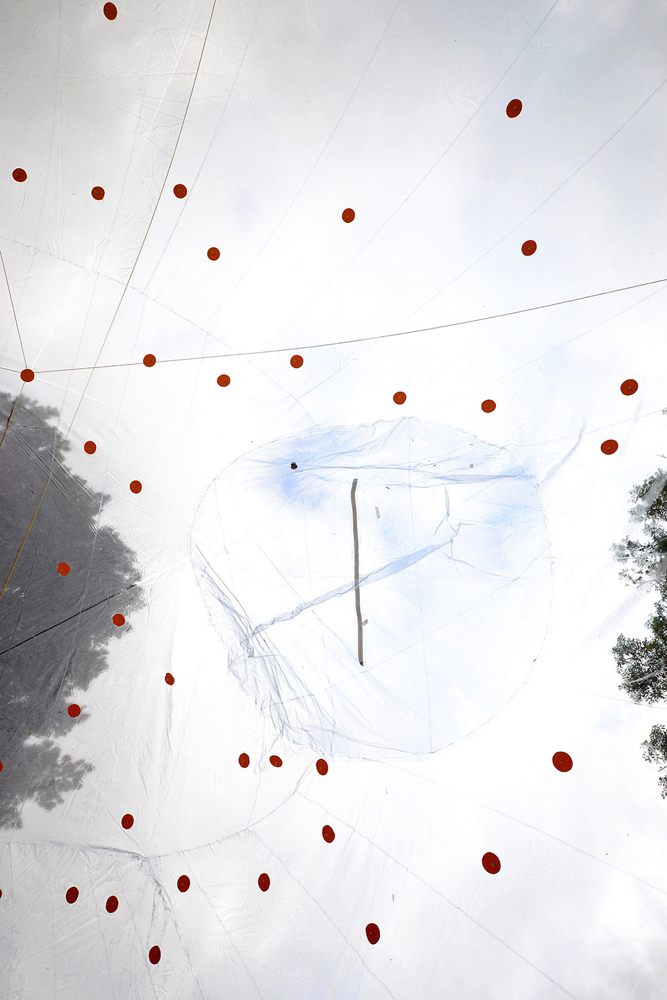 东伦敦的黄色大泡泡 / Dosis-70