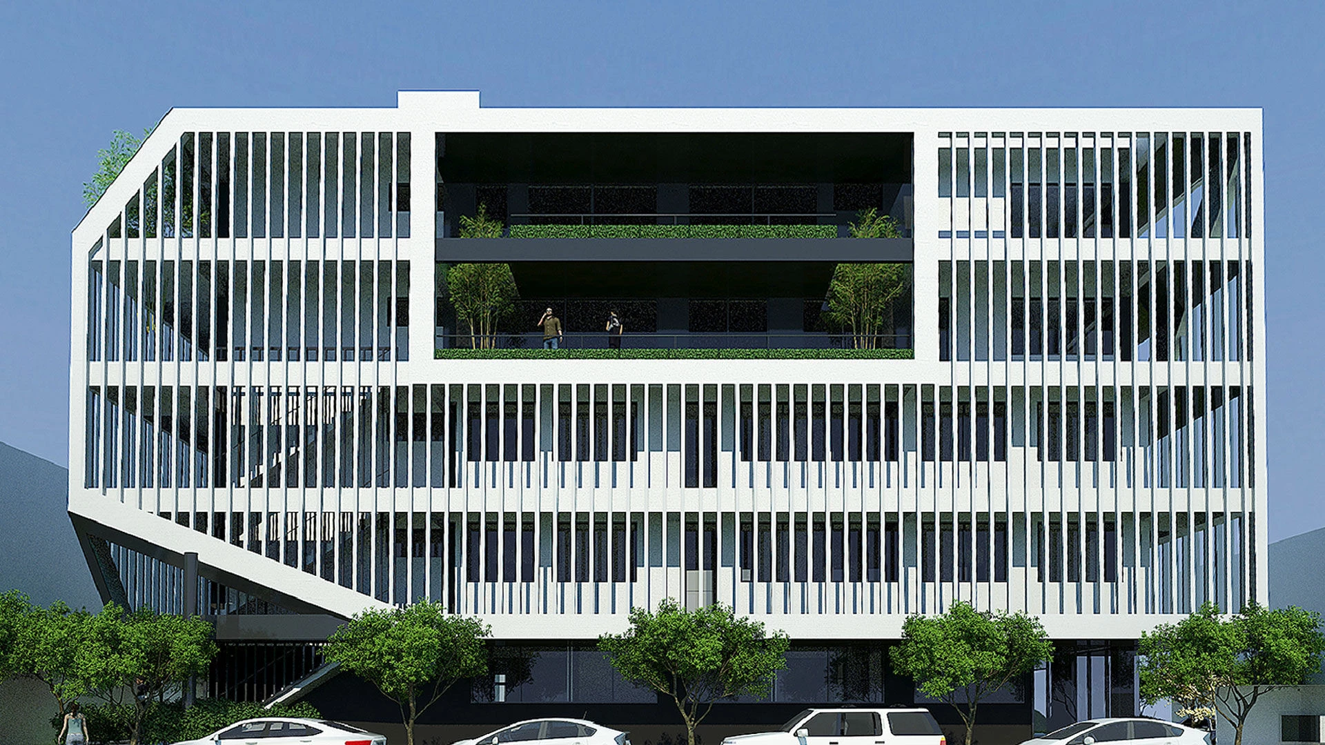 眼睛 或 眼 或 目丨尼泊尔丨MAP-33