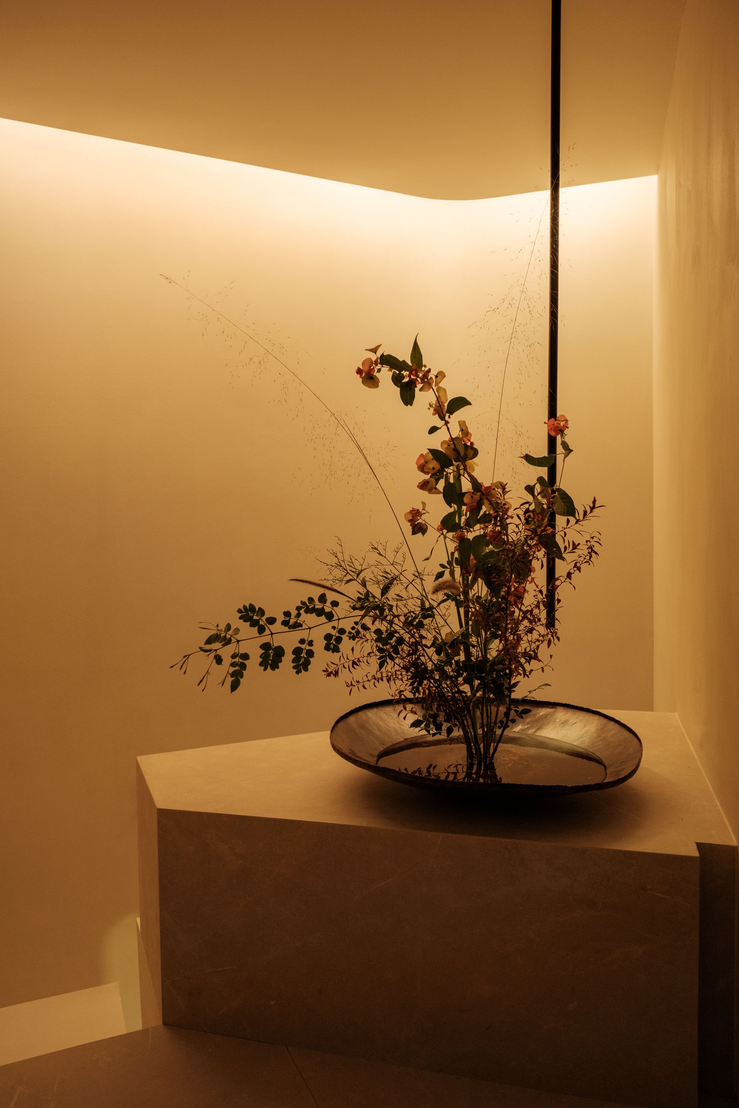 Goodwill 牙科诊所 | Zone design | 2023 | 中国台湾-12