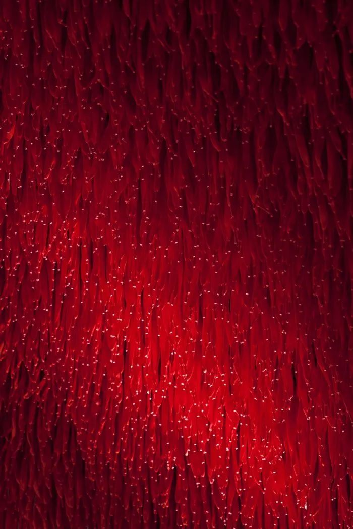 巴西 Camper Together 店丨巴西圣保罗丨Atelier Marko Brajovic-13