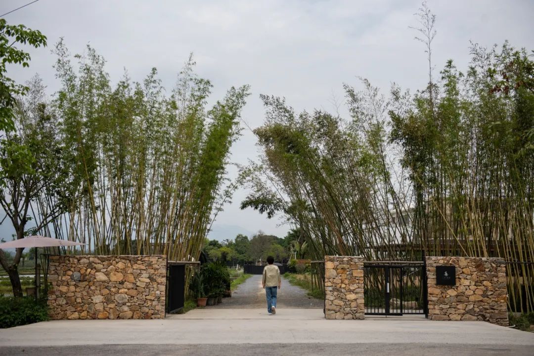 清远三禾稻里民宿酒丨中国清远丨佛山蒂霖景观设计有限公司-11