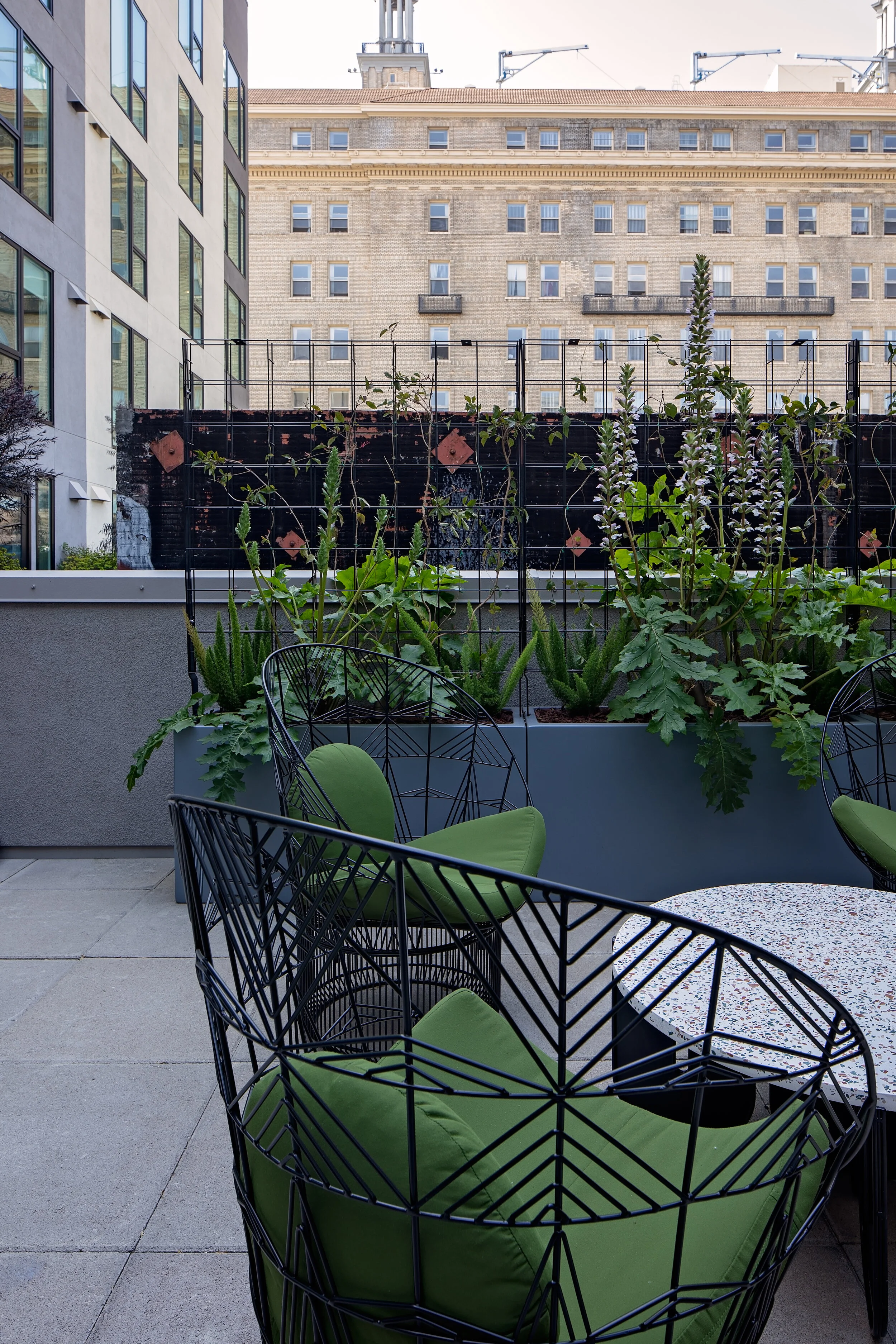 丨美国丨Vida Design-15