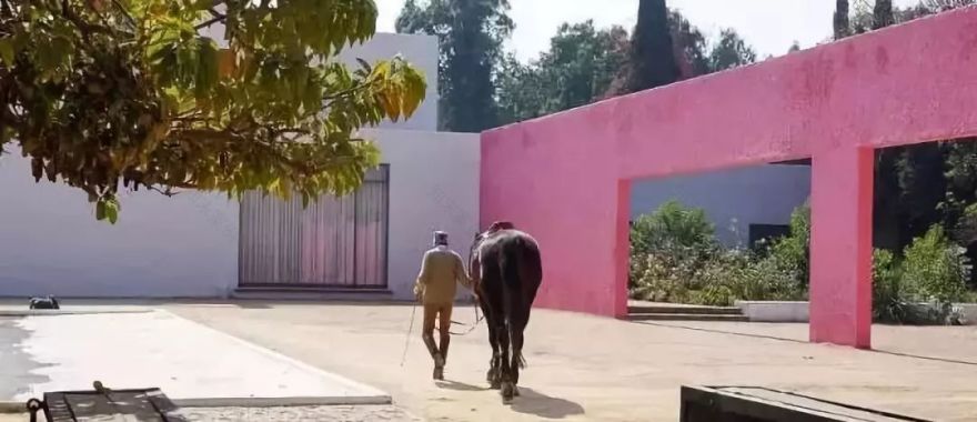 香奈儿“老佛爷”卡尔·拉格斐的室内设计魅力-66