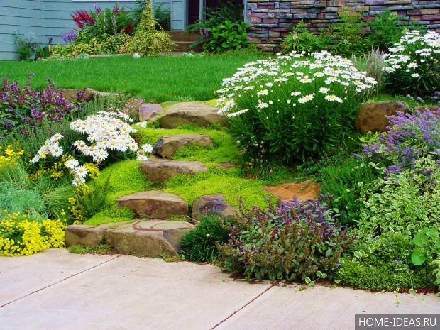 自制阿尔卑斯式假山（阿尔卑斯式花坛）-38