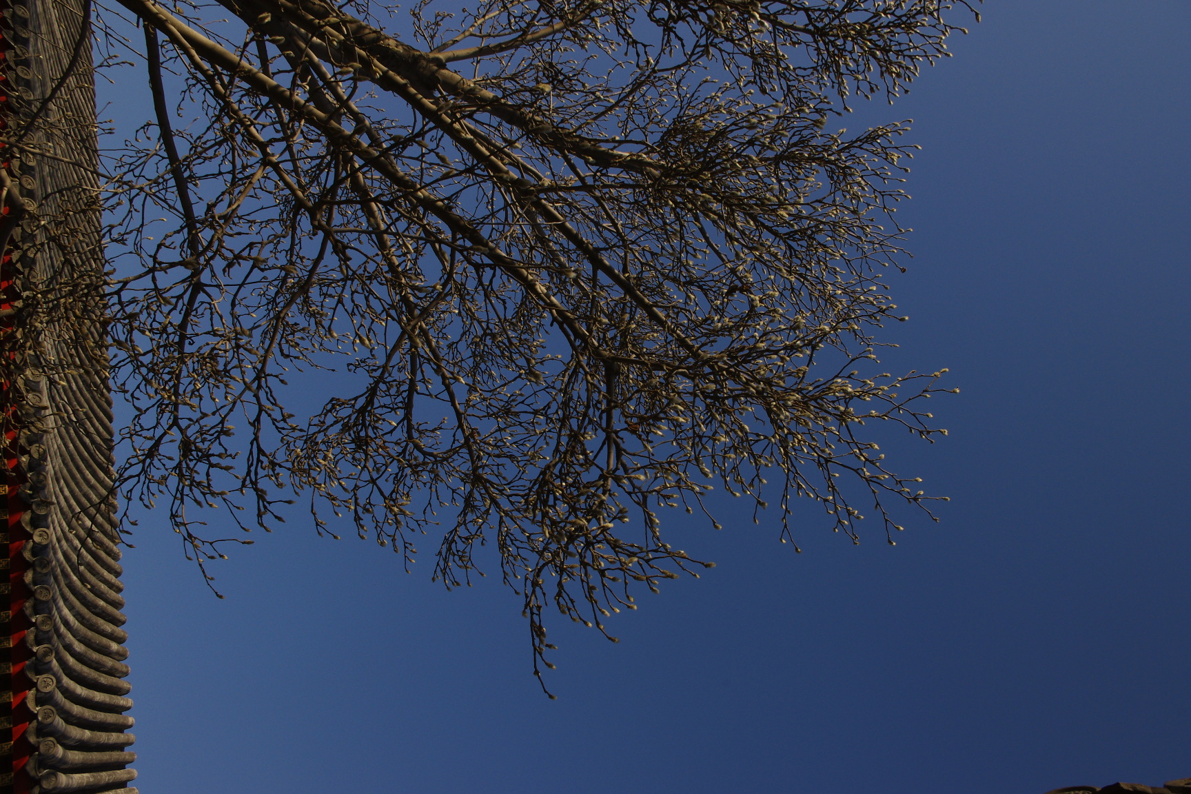 JAYA  北京安曼颐和酒店-6-14