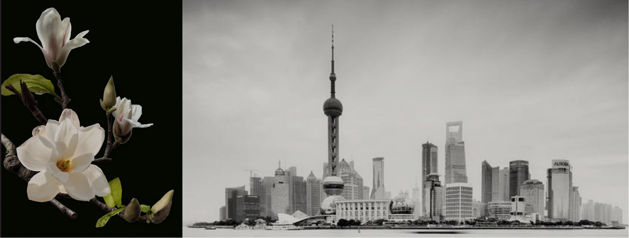 上海松江萃屿原墅丨中国上海丨SRD DESIGN赛瑞迪普-2